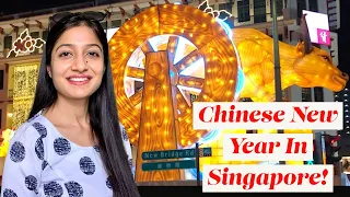 Chinese Lunar New Year 2021 Singapore | Chinatown Singapore | Life of an Indian Expat in Singapore