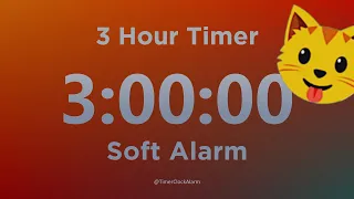 3 Hour Timer (with Soft Alarm Sound) for Sleep and Relaxation