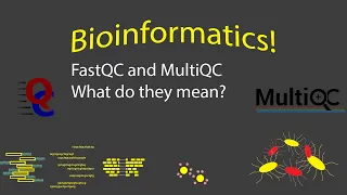 Bioinformatics - Understanding FastQC/MultiQC (Timestamps)