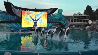 Final Performance of One Ocean - SeaWorld San Diego - HD