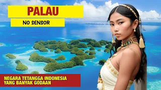 Kepulauan Yang Katanya Lebih Indah Dari Indonesia? Fakta Menarik Palau, Seperti apa kehidupan mereka