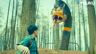 Brave man fights against snakes in solo showdown!  | Metamorphosis | YOUKU MONSTER MOVIE