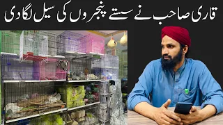 Cheap Price Birds Cages in Rawalpindi Pakistan | wholesale Birds cages shop | Cages leatest prices🥰