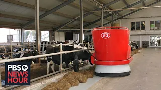 How robots can help give struggling dairy farmers a boost — if they can afford them