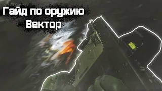 Лучшее оружие в Escape from Tarkov (0.12.9) - Kriss Vector 9х19. TarkovHelp