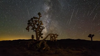 Perseid Meteor Shower 2015