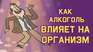 Edu: Как алкоголь влияет на организм