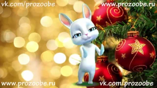 ❄❄❄ Поздравление С Новым Годом 2017 ❄❄❄ от ZOOBE Зайки Домашней Хозяйки