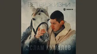 Ветер жизни