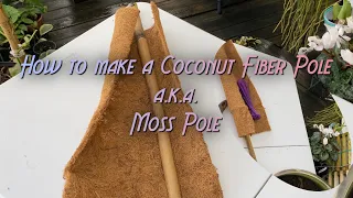 How to make a coconut fiber Pole or Moss Pole for House Plants||#DIY #CoconutFiberPole #MossPole