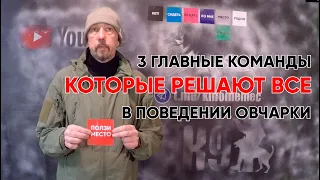 методика эффективной и быстрой дрессировки в двух словах