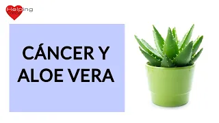 Aloe vera y cáncer