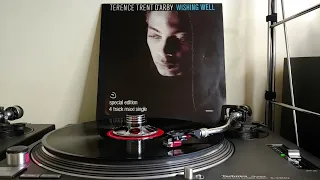 Wishing Well (The Cool In The Shade Mix) - Terence Trent D'Arby (Vinyl 12" Single)(Audiophile Audio)