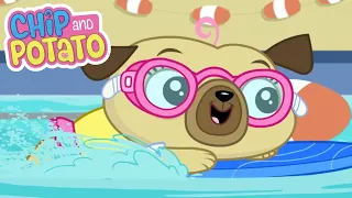 Chip and Potato | Lección de natación de Chip // tarea de Spud | Dibujos animados para niños