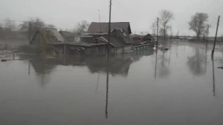 Наводнение в Новосибирской области