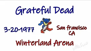 Grateful Dead 3/20/1977