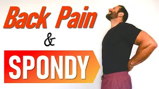 Spondylolisthesis Workout - 3 Exercises to Reduce Back Pain