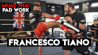 Francesco Tiano Muay Thai Pad Work | Siam Boxing | RAW ROUNDS