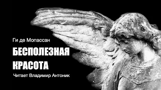 «Бесполезная красота». Ги де Мопассан. Аудиокнига. Читает Владимир Антоник