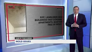 It’s a big problem: mold in an apartment. What can you do about it? Walt Kane explains your options.