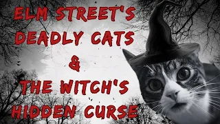 Elm Street's Deadly Cats & The Witch's Hidden Curse! 🔥🐱 | Terrifying True Mystery