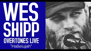 Wes Shipp on Overtones LIVE "Hallelujah"