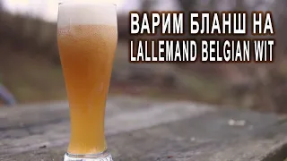 Варим бланш на Lallemand Belgian Wit