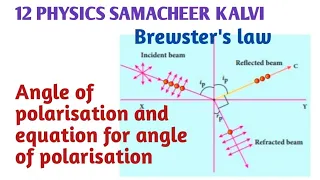 Brewster's law |Equation for angle of polarisation | Unit 7 Wave Optics | 12 Physics Samacheer kalvi