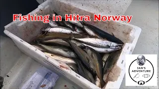 Fisking in Hitra day 1  10 september 2023. Kostenloses Angeln bei Hitra Norwegen