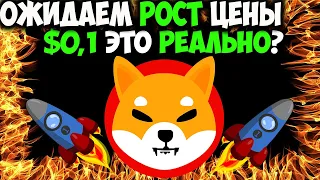 Точная Дата Тотального Сжигания Монеты Shiba Inu - $0.1 Уже Реально?