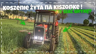 VLOGAS!🌱Kosimy Żyto na kiszonkę!🌱MF z kosiarką! Romeo w Ciapku! Będziemy siać Grykę??!!