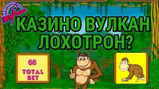 Заносы в казино Вулкан 2018 Выигрыши игровые автоматы онлайн Выигрыш в игровой автомат Crazy Monkey