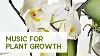 Music for Plants Growing, Overall Health & Happiness; Plant Growth Music