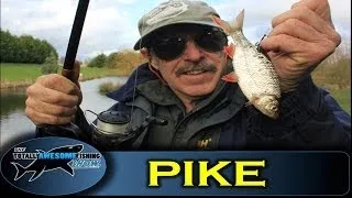 Pike fishing tips - Live Baiting by TAFishing Show