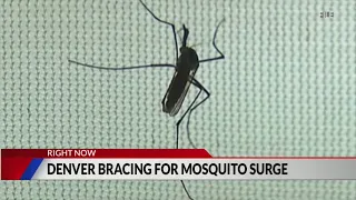 Mosquito population could boom after recent rain, raising West Nile Virus worries