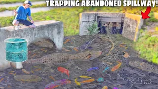 Trapping Aquarium Fish in ABANDONED SPILLWAY!