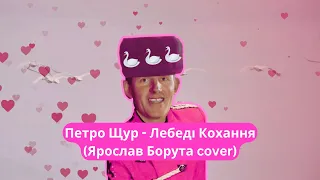 Петро Щур - Лебеді кохання (Ярослав Борута cover)