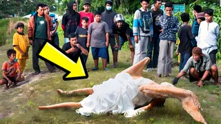 What They Discovered In Asia Terrifies the Whole World