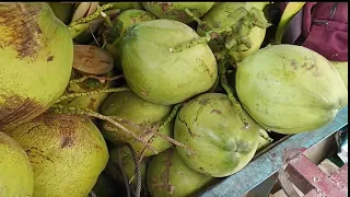 coconut cutting skill