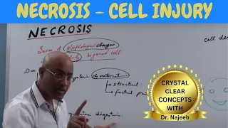 Necrosis | Cell Injury | General Pathology | Dr Najeeb