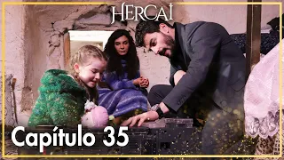 Hercai Capítulo 35