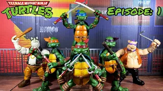 TMNT vs Bebop & Rocksteady TMNT Stop Motion