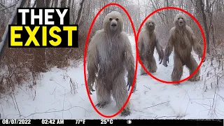 NEW Footage of Rare Yeti Encounter on Trail Camera