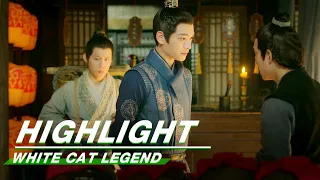 Highlight EP2:Li Bing and Chen Shi Meet for the First Time | White Cat Legend | 大理寺少卿游 | iQIYI