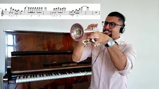 The Beatles - Penny Lane  - Trumpet Solo - Daniel Leal Trompete