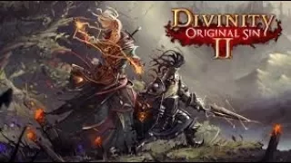 Divinity Original Sin 2: Origin Story Sebille