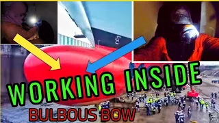 What's inside a Bulbous Bow?|English