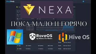 Майнинг NEXA 🔥RAVE🔥HAVE🔥WINDOWS🔥 Горячо и дорого #майнинг #maining #raveos #hive #nexa #какзапустить