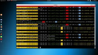 Kali Linux Bettercap 2 to sniffing packets (pen testing)