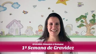 1ª SEMANA DE GRAVIDEZ